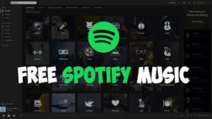 Use spotify video downloader